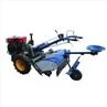 Walking tractor popular in South America